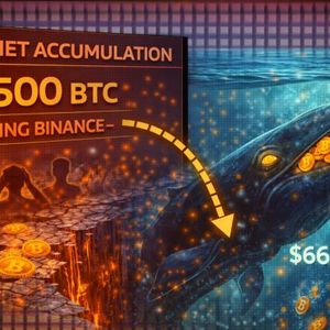 The Quiet Accumulation: 13,500 Bitcoin Leaving Binance Signals A Strategic Whale Pivot at $66,000