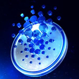 Cardano Red Month Is Far From Over: Analyst Predicts Crash To This Target