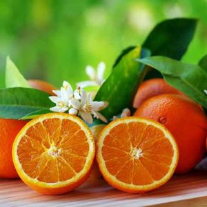 Another Bitcoin Buy Coming? Saylor Sparks Speculation With ‘Orange Dots’ Post