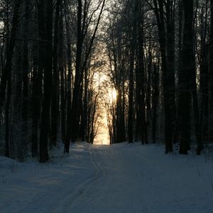 Bitcoin Faces Familiar Crossroads As Midterm Cycle Turns Bearish: Analyst