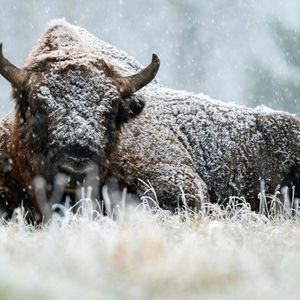 The Crowd Is Bearish On Bitcoin, But History Says That’s Bullish