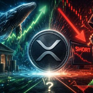 Real Money Is Buying XRP. Leveraged Traders Are Still Shorting It. Discover What Usually Happens Next