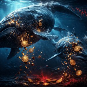 Bitcoin Sharks & Whales Capitulate: Realized Loss Exceeds $200M