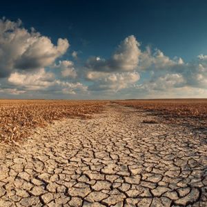 Ethereum Liquidity Dries Up As Demand Fails To Keep Pace