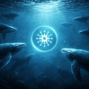 Cardano Whale Count Climbs To 4-Month High Amid Steady Accumulation