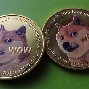 Dogecoin’s Capital Flow: What 24-Hour Spot Flow Data Reveals About Its Next Move
