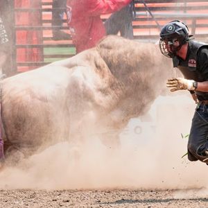 Bitcoin Bull Run Brewing: ATH In Sight By Late 2026: Analyst