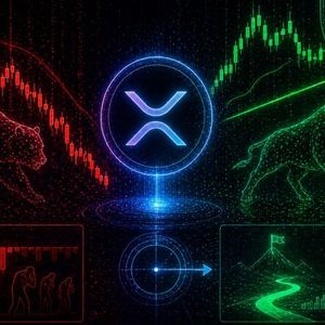 XRP’s Leverage Has Been Flushed Out, But Price Is Still Holding: Find Out What Follows That Setup