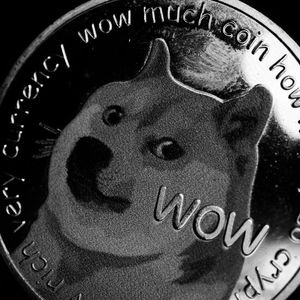 Dogecoin Inverted Scale Shows A Sharp Drop, But Something Is Interesting About This Chart