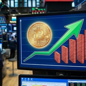 Bitcoin Price Gains Fade After Strong Rally Push Sparks Profit-Taking