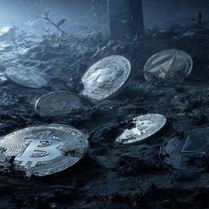 Altcoins Aren’t Going Anywhere — Even After Brutal Crashes: Arthur Hayes