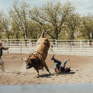 Analyst Predicts Biggest Bitcoin Bull Trap Of The Cycle, Calls Out 50% Crash To $42,000