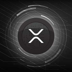 XRP Is Quietly Taking Over And These Are The Things That Investors Keep Missing