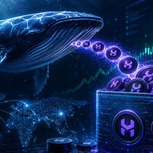 Massive HYPE Accumulation Continues: Whale-Linked Wallet Adds $90M In Weeks
