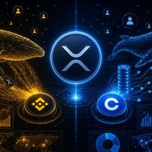 XRP Whale Dominance Returns To Binance While Coinbase Data Tells A Different Story