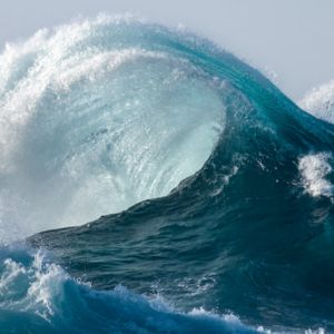 WAVES Gets Dragged Down By USDN, Despite Pumping Investor Distribution