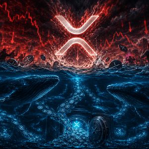 XRP Declines 8%, But Whales Scoop Up 71 Million Tokens