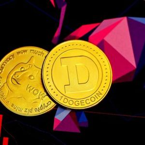 Dogecoin (DOGE) Price Is Up 5% On This News