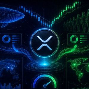 XRP Sends A Rare Signal As Whale-Retail Dynamics Are Shifting – Traders Are Watching