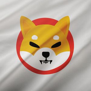 Shiba Inu OI Crashes Over 30%, SHIB Burns Grind To A Halt; Is This The End?