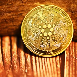 Cardano Takes Lead As Stablecoin Liquidity Rises 61%