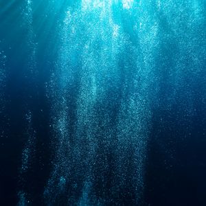 Crypto Treasury Flows Lose Steam, Marking Deepest Drop Since 2024