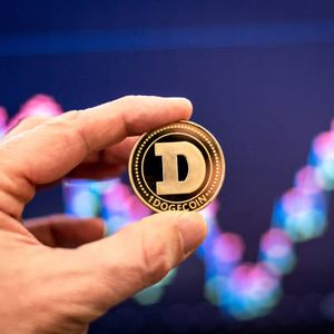 Here’s The Dogecoin Perfect Bottom And The Top Target; Analyst