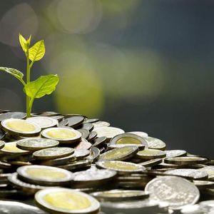 Humanity Protocol Plans New H Token After $36 Million Key Compromise