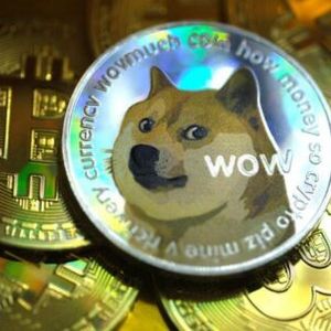 Dogecoin Among Most Searched Cryptos Of The Year, Will It Keep Its Spot In 2023?