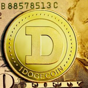 Dogecoin Price Falls, Is It A Wise Idea To Short?