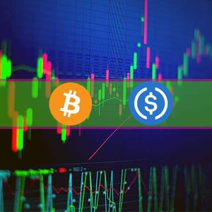 BTC’s Rollercoaster Around $20K Continues as USDC Drops to $0.9: Weekend Watch