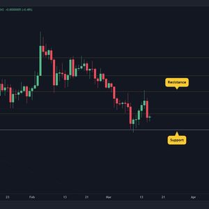 SHIB Drops 7% in 24 Hours, Here’s the Key Support (Shiba Inu Price Analysis)