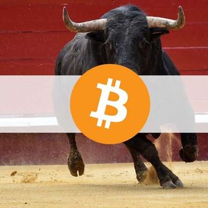 Bitcoin Hodl Patterns Indicate Cycle Shift to Bull Market