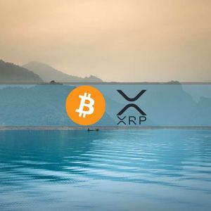 XRP Rally Cools Off, MicroStrategy Buys More BTC, Market Calms Down: This Week’s Crypto Recap