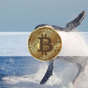 Dormant BTC Whale Wakes Up, Sends $60 Million For the First Time in 9 Years