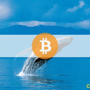 Bitcoin Whale Moves $11 Million in BTC After 12 Years of Inactivity