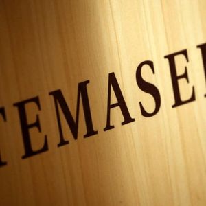 Temasek Slashes Pay for Executives Who Recommended Investing in FTX (Report)