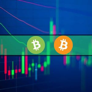Bitcoin Cash Jumps 8% Daily, Bitcoin Challenges $31K Again (Market Watch)