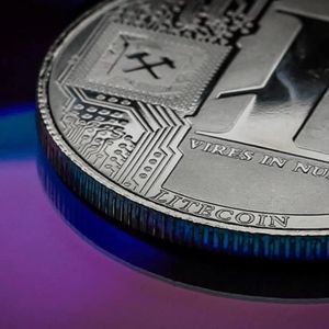 13% of all Litecoin (LTC) in Circulation Unmoved for 5 Years: Report