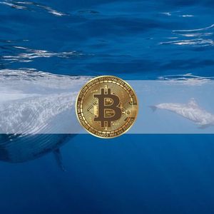 Bitcoin Sharks and Whales Accumulated $2B Worth of BTC Since BlackRock’s ETF Filing