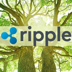Ripple (XRP) Expecting Customers From US Banking Sector Next Quarter