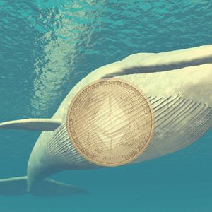 Bitcoin Whale and Ethereum ICO Member Deposit $250 Million Holdings To Exchanges