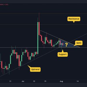 ADA at Critical Support: Massive Move Expected – Three Things to Watch (Cardano Price Analysis)