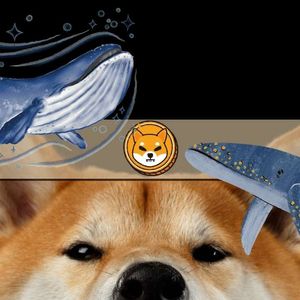 Why Are SHIB Whales Accumulating Trillions of Shiba Inu Tokens Now?