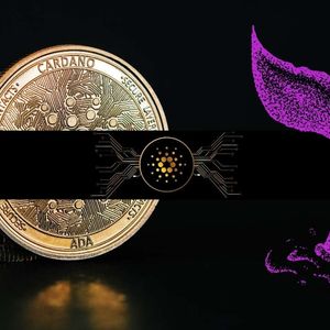 Cardano (ADA) Whales Accumulate Heavily Below $0.30: Details