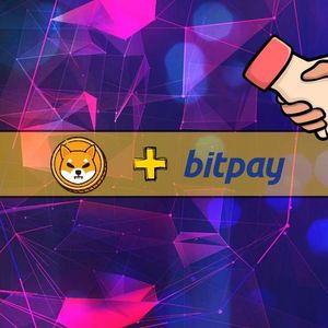 Shiba Inu Price Soars 10% Daily: Could This Be The Reason?