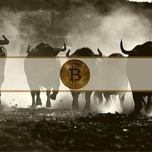 When Will Bitcoin’s Bull Run Start? Analyst Chips In