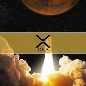 XRP Price Explodes to $50 But It’s Not What You Think