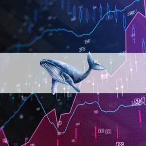 What Are Whales Investing in on Coinbase’s Base Network? Nansen Investigates