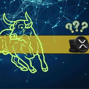 How High Can Ripple (XRP) Go During the Next Bull Market?